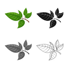 Vector design of tea and leaf logo. Collection of tea and fresh vector icon for stock.