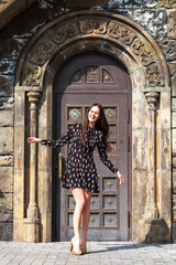 Portrait young beautiful brunette woman in dress posing against the backdrop of an old castle in the Gothic style