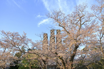 韮山反射炉と桜