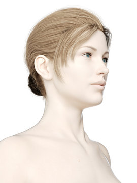 3d rendered illustration of a womans head