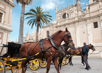 Naklejka na ściany i meble horses at the Cathedral of Saint Mary of the See (Seville Cathedral) in Seville, Andalusia, Spain in a sunny and cloudy day.