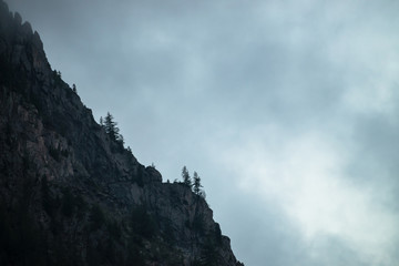 Ghostly giant rocks with trees in thick fog. Mysterious huge mountain in mist. Early morning in mountains. Impenetrable fog. Dark atmospheric eerie landscape. Tranquil mystic atmosphere of wilderness.