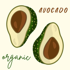 Vector fresh avocado.Cartoon style 