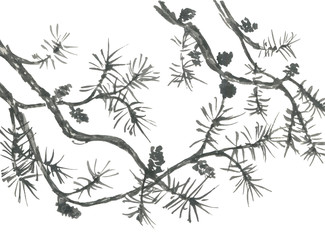 Chinese pine. Japanese watercolor. Indian ink illustration of tree in style sumi-e, go-hua,  u-sin for tattoo. Oriental traditional painting.  Isolated on the white background..