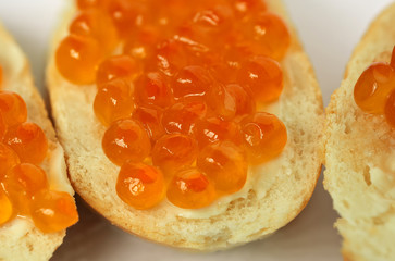Red caviar on a slice of white bread