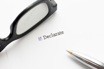 Checked checkbox with word "Declarate".