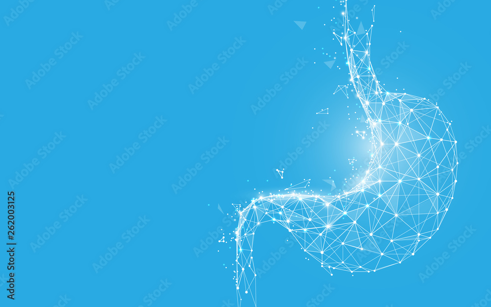 Poster human stomach from lines, triangles and particle style design. illustration vector