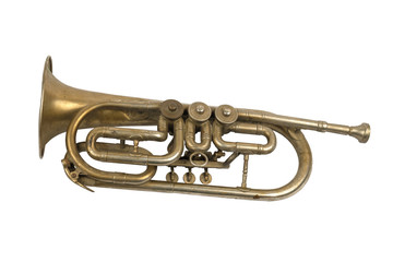 Old golden trumpet