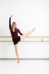 Obraz premium female dancer on the pole