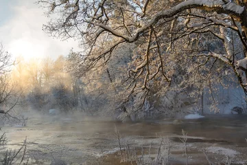 Foto auf Leinwand Frozen winter © citikka