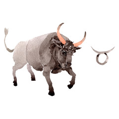 Taurus zodiac sign, astrology symbol. Watercolor background illustration set. Isolated horoscope illustration element.