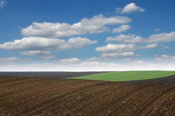 Fototapeta na wymiar Plowed field in spring agriculture Voivodina Serbia landscape