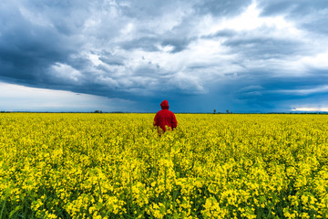 Spring agricultural landscape with man in red dress in big rape fields , farmland panorama with dramatic rainy clouds