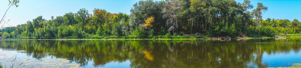 Panorama of the forest river on a Sunny day