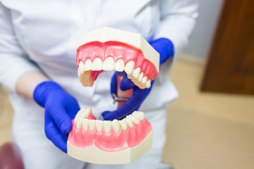 Fototapeta na wymiar Medical plastic prosthesis in dental clinic. Orthodontic equipment, health care concept