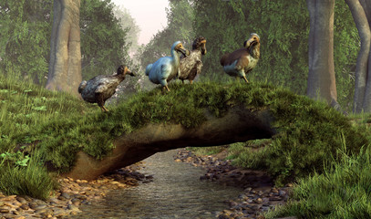 A flock of dodo birds waddles over a natural log bridge that has fallen over a stream and grown mossy.  The now extinct animals once inhabited the island of Mauritia. 3D Rendering © Daniel Eskridge