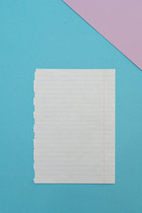 Vertical. A sheet in a ruler in the center and a pink paper triangle in the upper right corner on a blue background. Place for text.