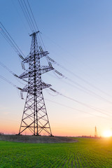 High voltage lines and power poles and green agricultural landscape during sunset.