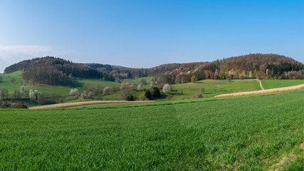Fototapeta na wymiar Mountains in the Odenwald