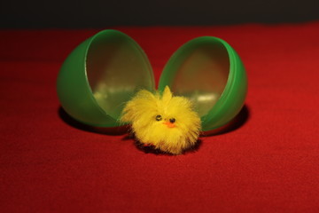 Easter chick hatched out of plastic egg on a red cloth