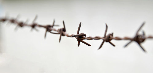 barbed wire on a gray background