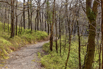 Fototapeta premium Tourist trail in the mountains of Snowdonia, Wales