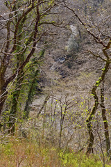 View of a waterfall on a tourist trail in the mountains of Snowdonia, Wales.