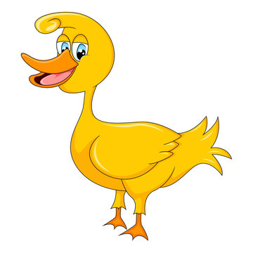 Duck cartoon vector illustration