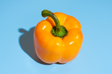 Ripe yellow pepper on blue background. Healthy eating and dieting concept