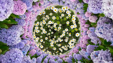 spring season, flowers, colors and 360 photos