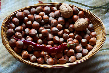 hazelnuts very nutritive