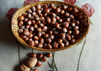 hazelnuts very nutritive