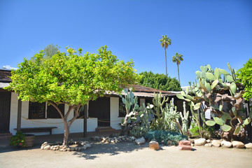 Cactus and lemon tree in Avila Adobe garden in Los Angeles