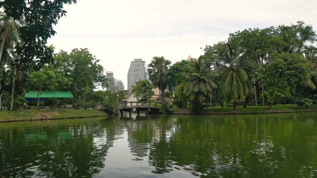 Large city Park in the downtown, skyscrapers in the background. Beautiful landscape: a bridge across the lake, green trees and palm trees reflected in the water