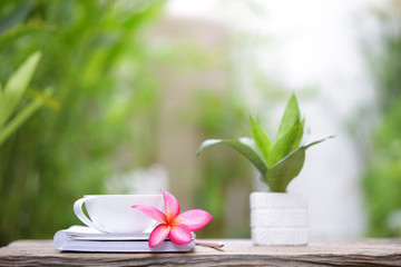 White coffee cup and notebooks with small plant in white pot and flower on brown wooden table at outdoor