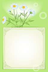 Card template with pink daisy flowers and a piece of paper with ornate square frame. 