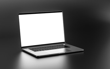 Laptop with blank screen isolated on background. Whole in focus.