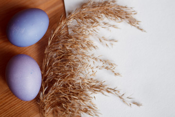 Easter purple egg with branches of wheat with the white sheet to record