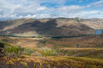 Naklejka premium Douro - Portugal