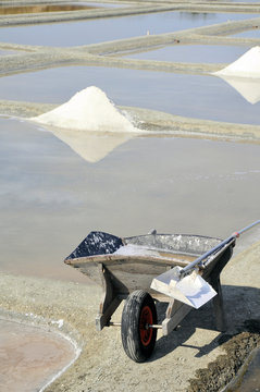 R&eacute;colte de sel dans les marais salants