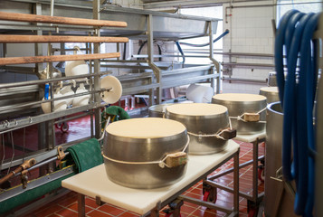 Parmisan cheese preparation. Color image