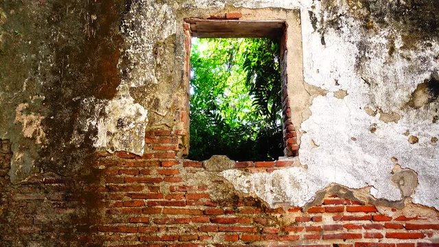 4K Grungy urban background of a brick old more than 150 years grungy texture grey concrete tree on window wall texture patterns