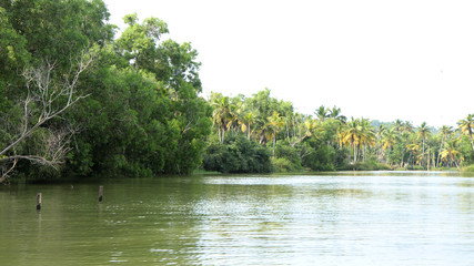 Natural Tour Destinations