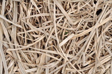 The texture of dried grass calamus