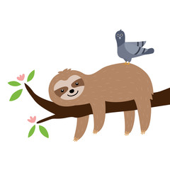 Cute sloth on the tree and Pigeon bird isolated on white background © aommaneesri