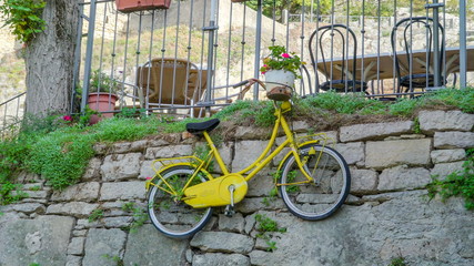 Fototapeta na wymiar 15527_Closer_look_of_the_flower_pots_on_top_of_the_bicycle.jpg