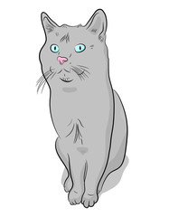 Gray cat hand-drawn. Vector illustration in cartoon style.