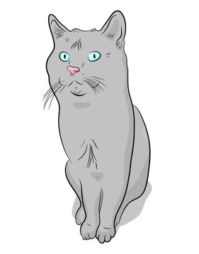 Gray cat hand-drawn. Vector illustration in cartoon style.