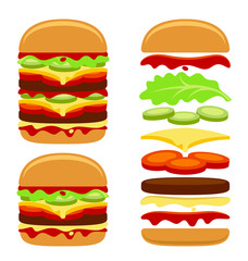 Burger constructor on a white background