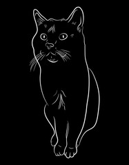 Cat hand-drawn outline, circuit. Vector illustration isolated on white background.
